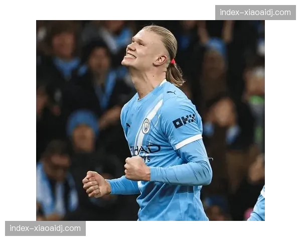 哈兰德预期进球与实际进球对比 终结效率维持高水平