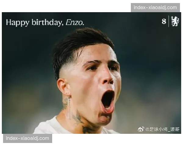 恩佐·费尔南德斯2026年14场5球 切尔西中场进攻贡献